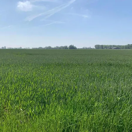 Apartment In For 6 Persons, Cleaning Included Nieuwpoort