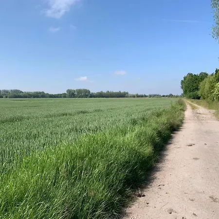 Near Sandy Beach, Cleaning Included Lägenhet *
